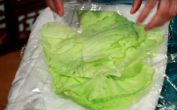 Cabbage compress for pain due to arthrosis of the shoulder joint